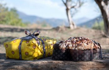 Colomba Fiasconaro